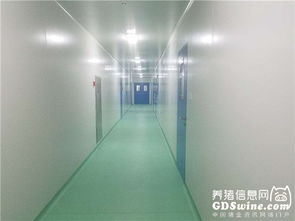 正業(yè)生物疫苗懸浮培養(yǎng)車間通過農(nóng)業(yè)部GMP認證，引領(lǐng)生物制品產(chǎn)業(yè)新篇章