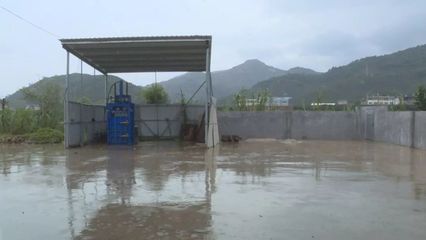 【中央生態環境保護督察進行時】平和 信一包裝廠已完成整改，確保生產“零污染”